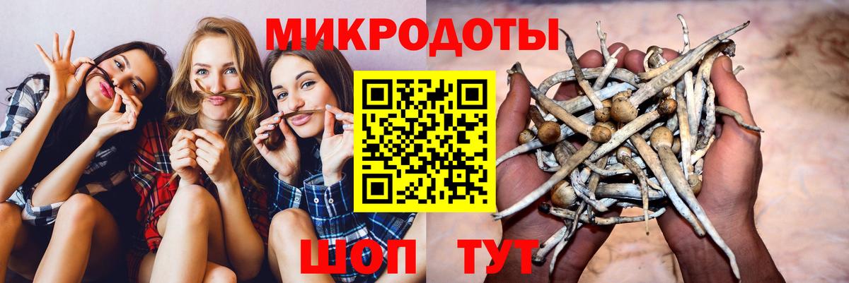 Галлюциногенные грибы Psilocybe  Вход с VPN  Карпинск 